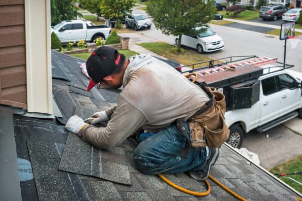 Professional Gutter Repair And Installation technician working in Winnsboro, TX